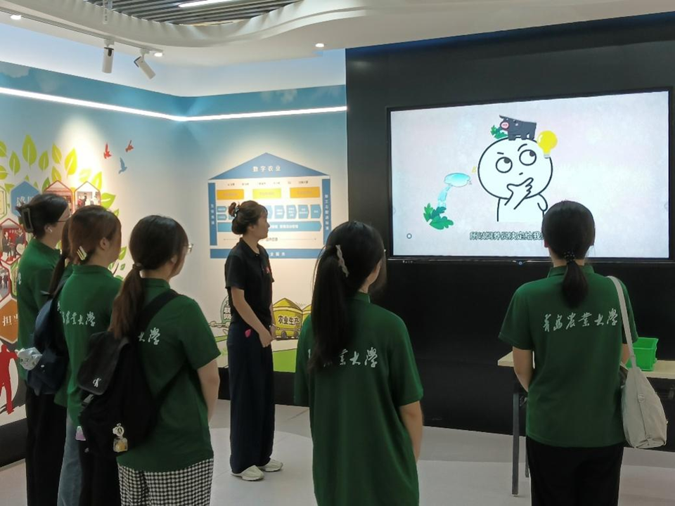 英国上市公司365
